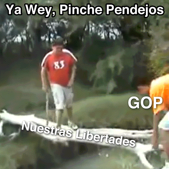 Digital art gif. Two teenage boys adjusting logs to create a bridge over a river, one in a red jersey atop the log, labeled "nuestras libertades," one in a yellow t-shirt, labeled "GOP," on the riverbank, adjusts the log suddenly, causing the other boy to lose his footing and fall into the water below. Text, "Ya wey, pinche pendejos."