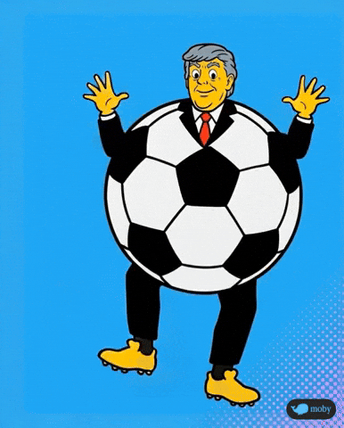 Football Soccer GIF by Moby