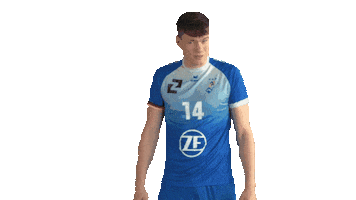 Volleyball Bundesliga Sticker by Vfb Friedrichshafen Volleyball