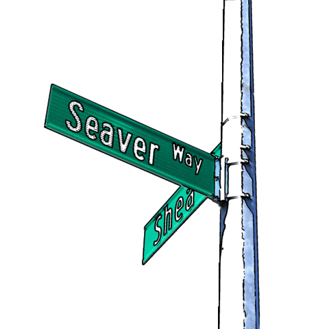 Shea Street Sign Sticker by New York Mets