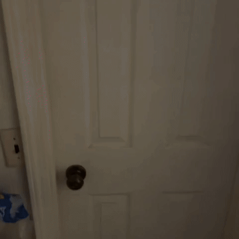 Jumpscare GIF