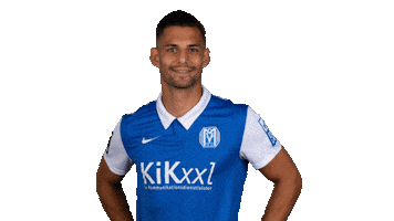 Emsland Sticker by SV Meppen 1912