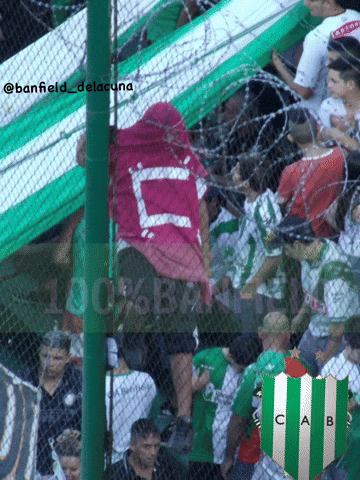 Banfield GIF