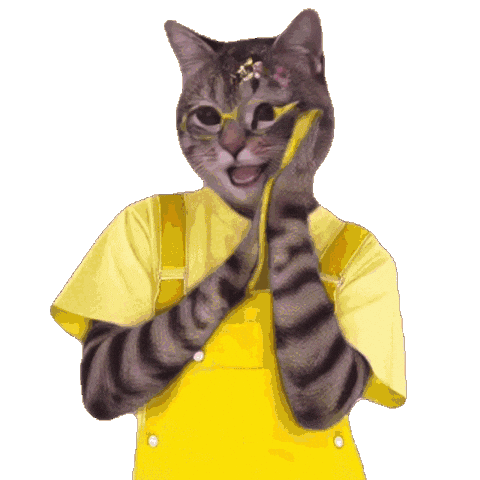 Cat Color Sticker by K-FORCE