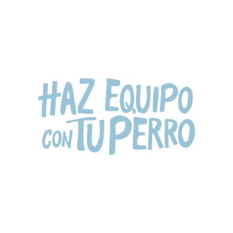 Dogdogmx Sticker by Dog Dog Encaminando a tu perro