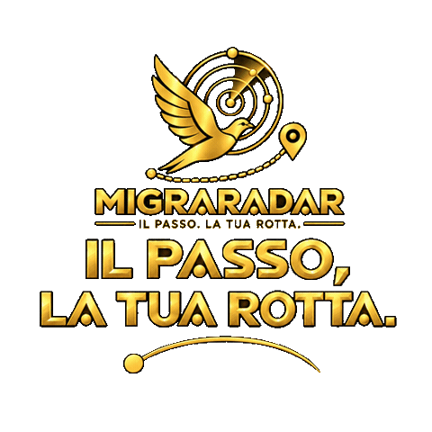 Migraradar Sticker