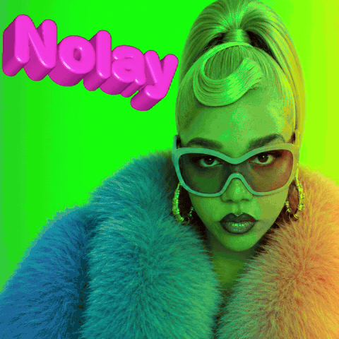 No Lay Gif By Nolay Gif