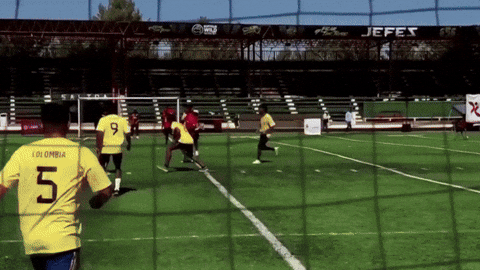 Animated GIF - Find & Share on GIPHY