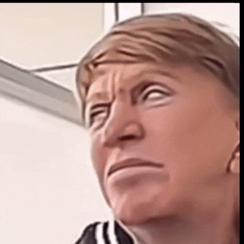 giphy.gif?cid=9b38fe91c19fa02fa206fef1ea