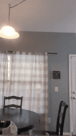 What Was That GIF