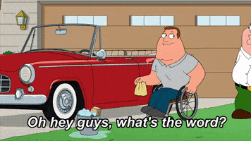 Family Guy Bird GIF by FOX TV