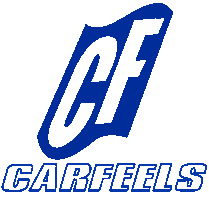 Carfeels Sticker