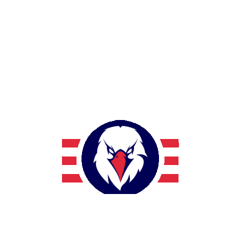 Careers of America Sticker