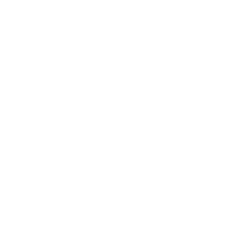 FITURE US Sticker