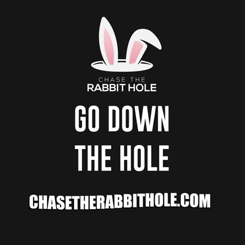 Rabbit GIF