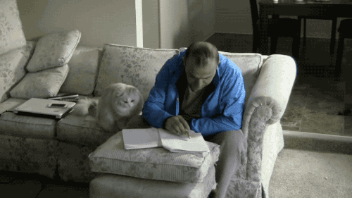 Work From Home GIF - Find & Share on GIPHY