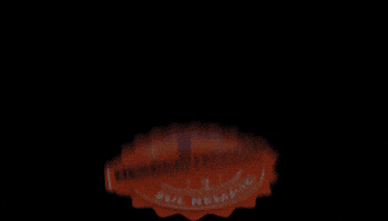 Leiloes GIF by SulRemates