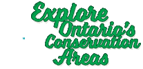 Travel Camping Sticker by Conservation Ontario