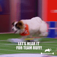 Dogs Love GIF by Puppy Bowl