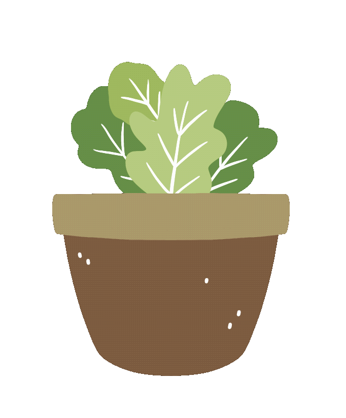 Romaine Lettuce Plants Sticker for iOS & Android GIPHY