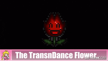 Super Mario Bros GIF