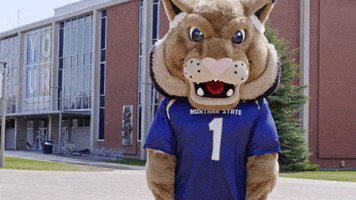 Lets Go Reaction GIF by Montana State University