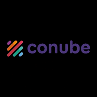 Contabilidade Contador GIF by Conube