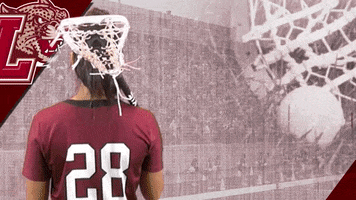 Gibbons GIF by Lafayette Leopards