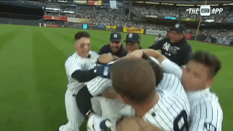 Happy New York GIF by YES Network - Find & Share on GIPHY