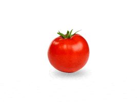 YASHICADIGITAL master tomato ketchup kecup GIF