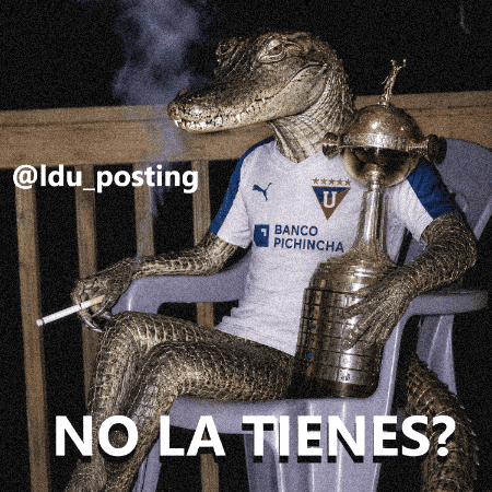 Copa Libertadores Liga GIF