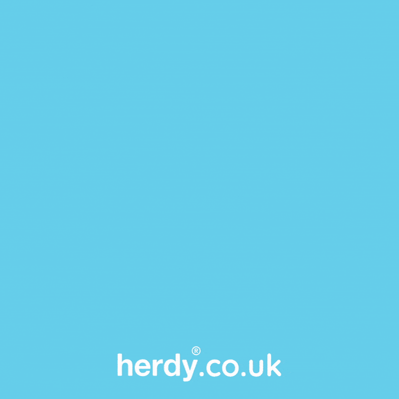 Flying Super Hero GIF by Herdy