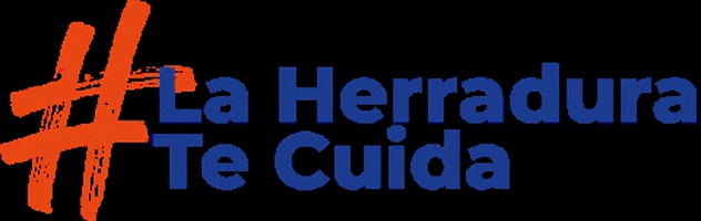 herradura herradura GIF