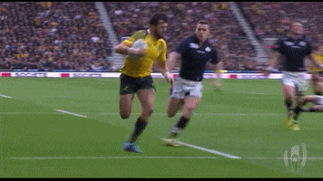 Celebrate World Rugby GIF by Rugby World Cup