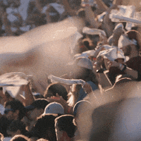 South Carolina Gamecocks Touchdown GIF by gamecocksonline