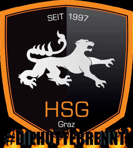 hsggraz sport handball graz holding GIF