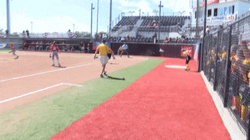 Softball Naia GIF by Marian University