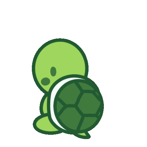 Funny Turtle Animal GIF