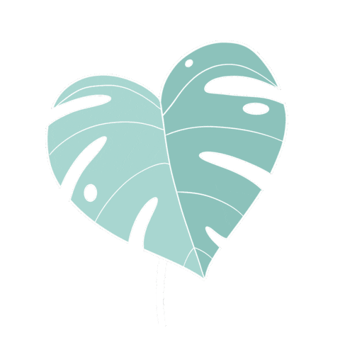 Monstera Deliciosa Plant Sticker