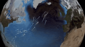 ocean flow current thermohaline ocean conveyor belt GIF