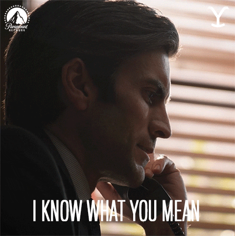I Know What You Mean Wes Bentley GIF by Yellowstone