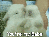 You Are A Baby Gifs Get The Best Gif On Giphy