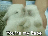 I Love Micia Gifs Get The Best Gif On Giphy I Love Micia Gifs Get The Best Gif On Giphy
