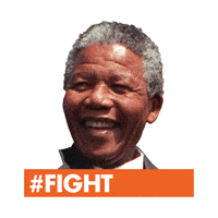 Human Rights Fight GIF by United Nations Human Rights