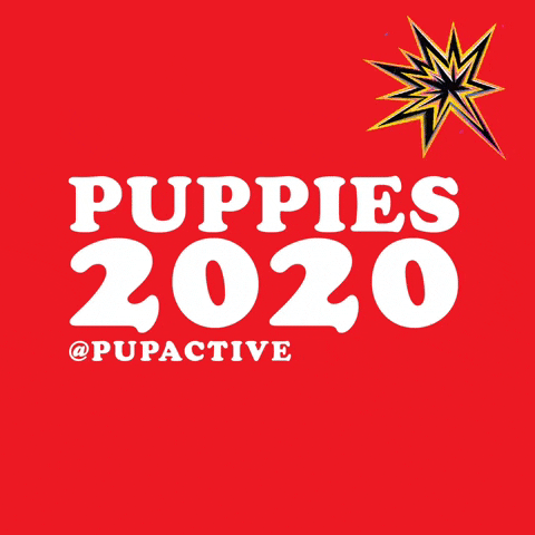 pupactive vote puppies pupactive dog friendly af GIF