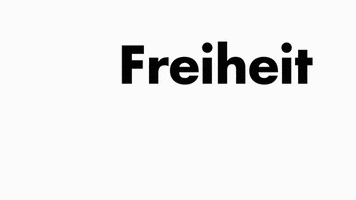 Freiedemokraten GIF by FDP