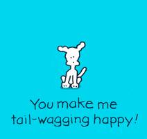 You Are Amazing GIF by Chippy the Dog