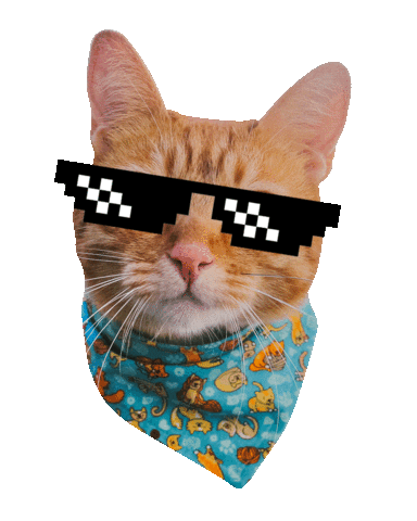 Romeu, Malelo & Dalila Sticker