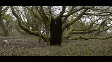 What The Dead Men Say GIF by Trivum