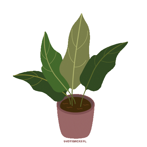 Illustration Sticker